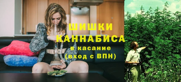 прущие грибы Баксан