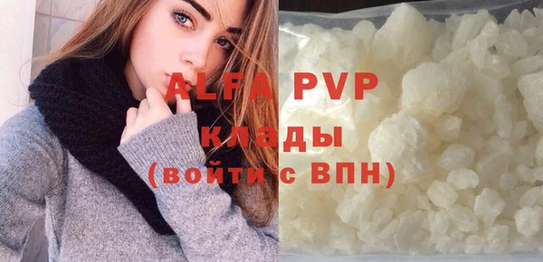 прущие грибы Баксан